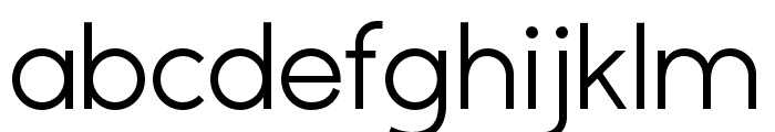 ZTGatha-Regular Font LOWERCASE