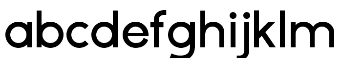 ZTGatha-SemiBold Font LOWERCASE