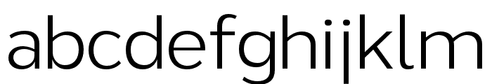 ZTRayflo-Light Font LOWERCASE