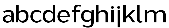 ZTRayflo-Regular Font LOWERCASE