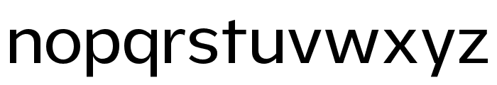 ZTRayflo-Regular Font LOWERCASE