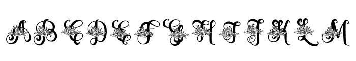 Zahiya Monogram Flower Font UPPERCASE
