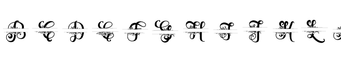 Zahiya Monogram Split Font UPPERCASE