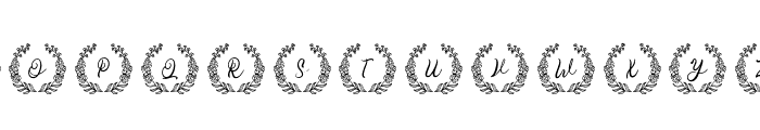 Zanida Flower Monogram Font LOWERCASE