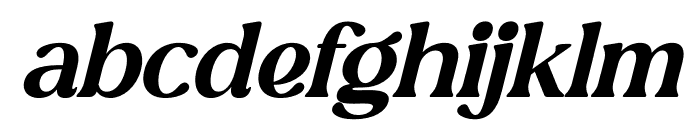 Zasline Italic Font LOWERCASE