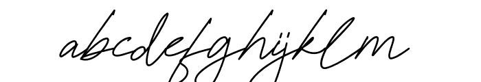 Zavilla Signature Font LOWERCASE