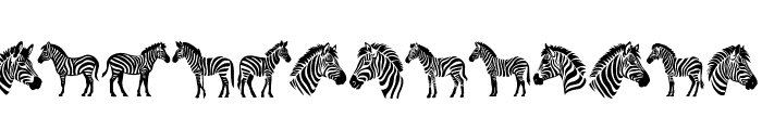 Zebra Bundle Font UPPERCASE