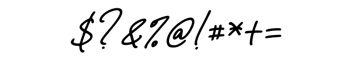 Zigas Signature Italic Font OTHER CHARS