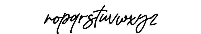 Zigas Signature Italic Font LOWERCASE