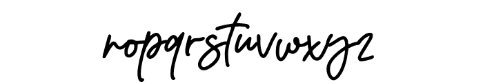 Zigas Signature Font LOWERCASE