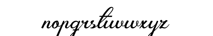 Zignature Font LOWERCASE