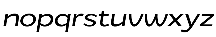 ZtNezto-Italic Font LOWERCASE