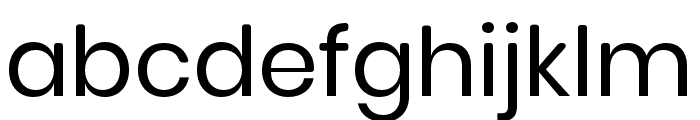 alter-Regular Font LOWERCASE