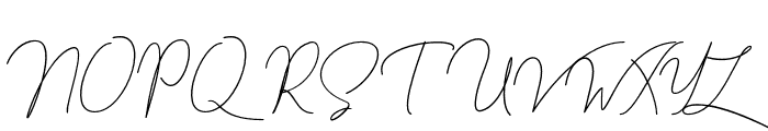 berlinsignature Font UPPERCASE