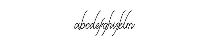 berlinsignature Font LOWERCASE