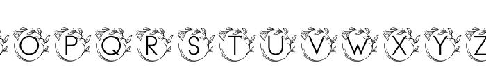 monogram vine letter Font UPPERCASE