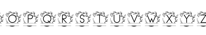 monogram vine letter Font LOWERCASE