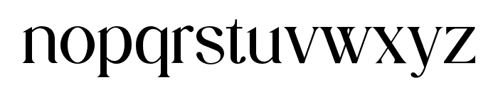newsweekly-Regular Font LOWERCASE