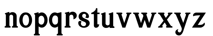 serif serif Font LOWERCASE