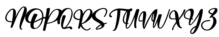 summerflower-Italic Font UPPERCASE