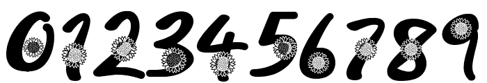 sunflower script Font OTHER CHARS
