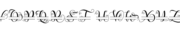 valina monogram Font LOWERCASE