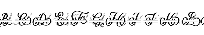 vlorina monogram Font LOWERCASE