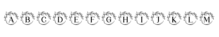 wreath christmas monogram Font LOWERCASE