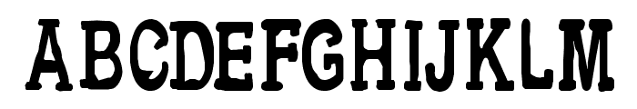 CF Metropolis Serif Regular Font UPPERCASE