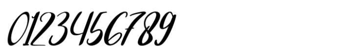 CF Serenity Loop Italic Font OTHER CHARS