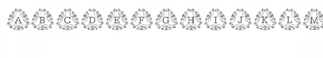 cg alphabet monogram organic Font UPPERCASE