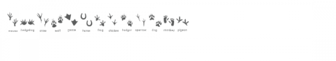 cg animal footprint dingbats Font UPPERCASE