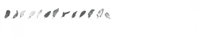 cg feathery dingbats Font LOWERCASE