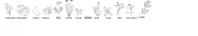 cg herbs & spices dingbats Font LOWERCASE