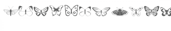 cg intricate butterfly dingbats Font LOWERCASE