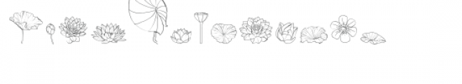 cg lotus dingbats font Font LOWERCASE