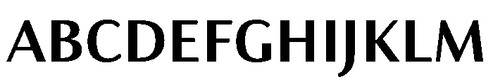 Charcuterie Contrast Bold Font UPPERCASE