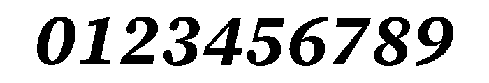 Charter Bt Bold Italic Font OTHER CHARS