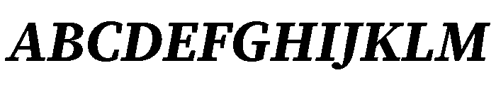 Charter Bt Bold Italic Font UPPERCASE