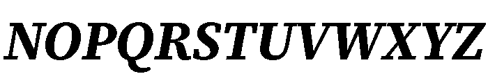 Charter Bt Bold Italic Font UPPERCASE