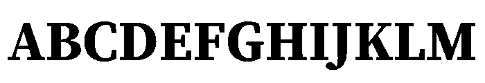 Charter Bt Bold Font UPPERCASE