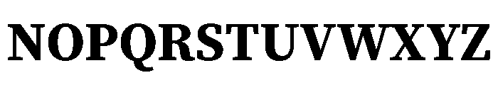 Charter Bt Bold Font UPPERCASE