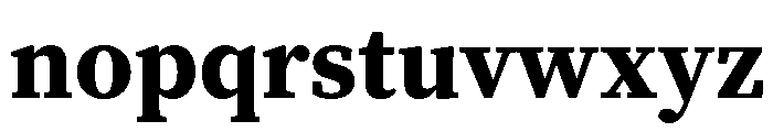 Charter Bt Bold Font LOWERCASE