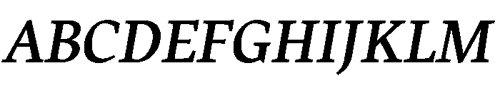 Charter Bt Italic Font UPPERCASE
