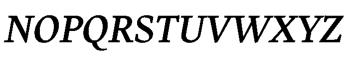Charter Bt Italic Font UPPERCASE