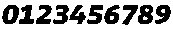 Chidori Black Italic Font OTHER CHARS
