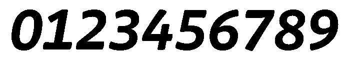 Chidori Bold Italic Font OTHER CHARS