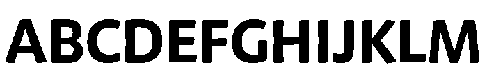 Chidori Bold Font UPPERCASE