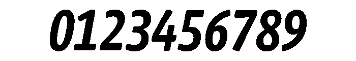 Chidori Condensed Bold Italic Font OTHER CHARS
