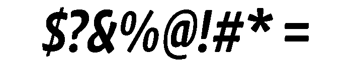 Chidori Condensed Bold Italic Font OTHER CHARS